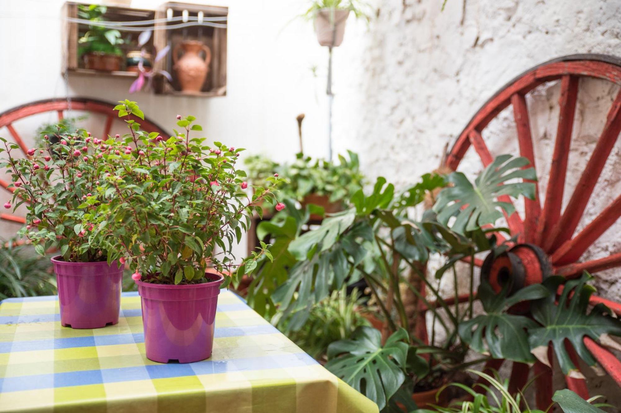 Bed and breakfast Casa Arizo